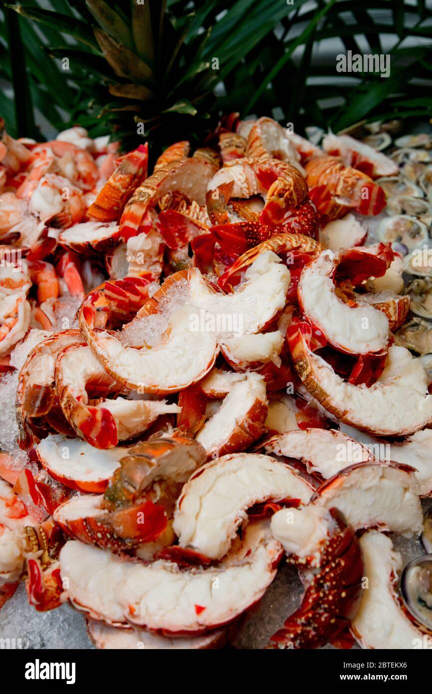 Seafood buffet at event celebration. Featuring lobster tails, cold, cut