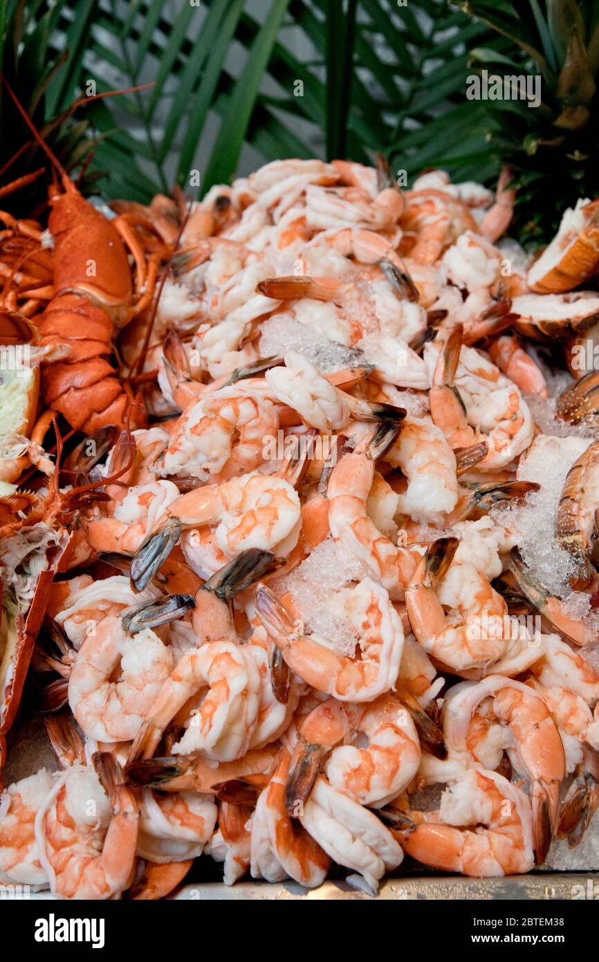 Seafood buffet at event celebration.  Featuring cooked shrimp with shell off, but tail on. Stacked on crushed ice waiting for guests to be served. Stock Photo