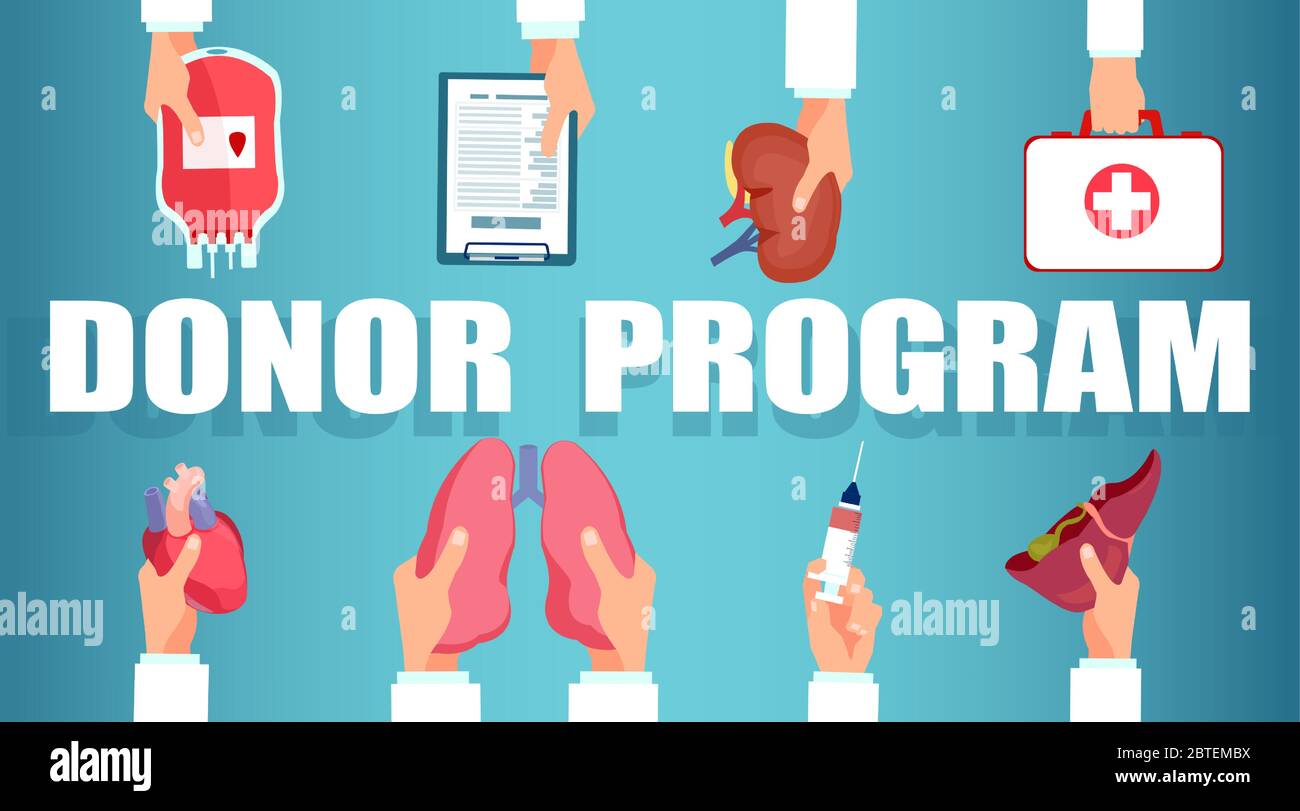 Donor program concept. Vector of doctor hands with human organs ready for transplantation Stock Vector