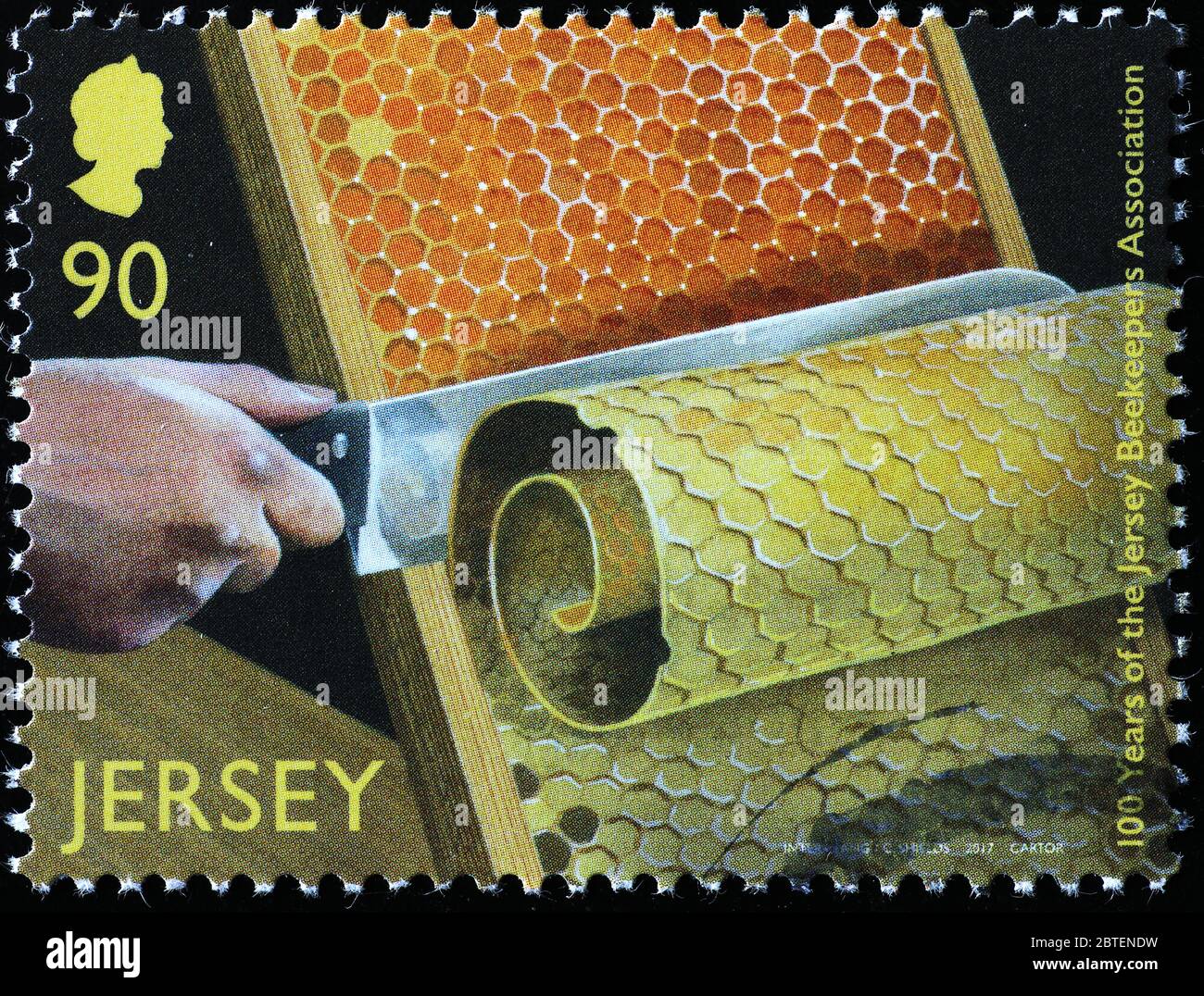 Beekeeper cutting wax from honeycomb frame on stamp Stock Photo