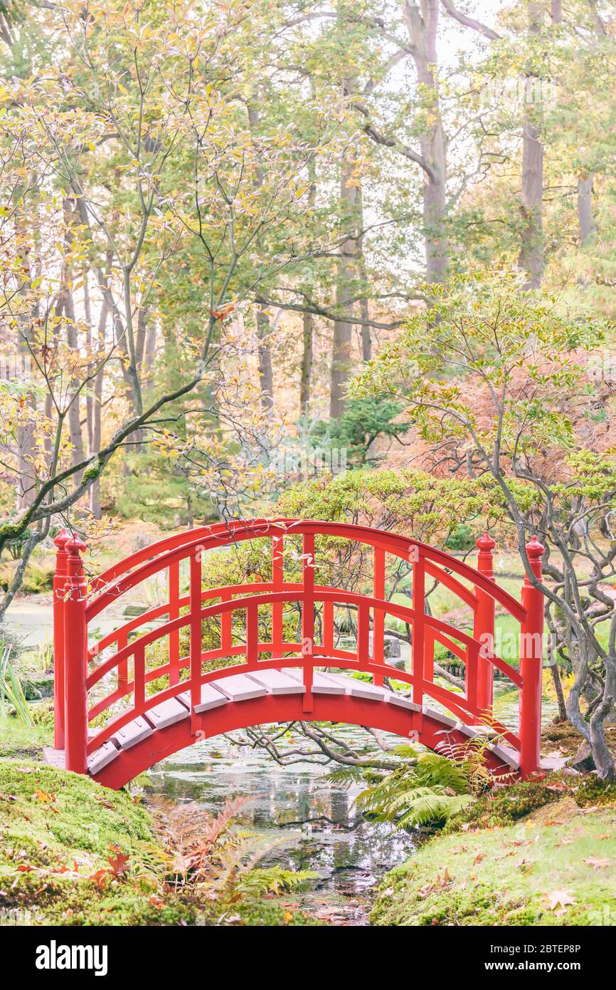 Red wooden bridge over small creek in a Japanese garden in autumn Stock Photo