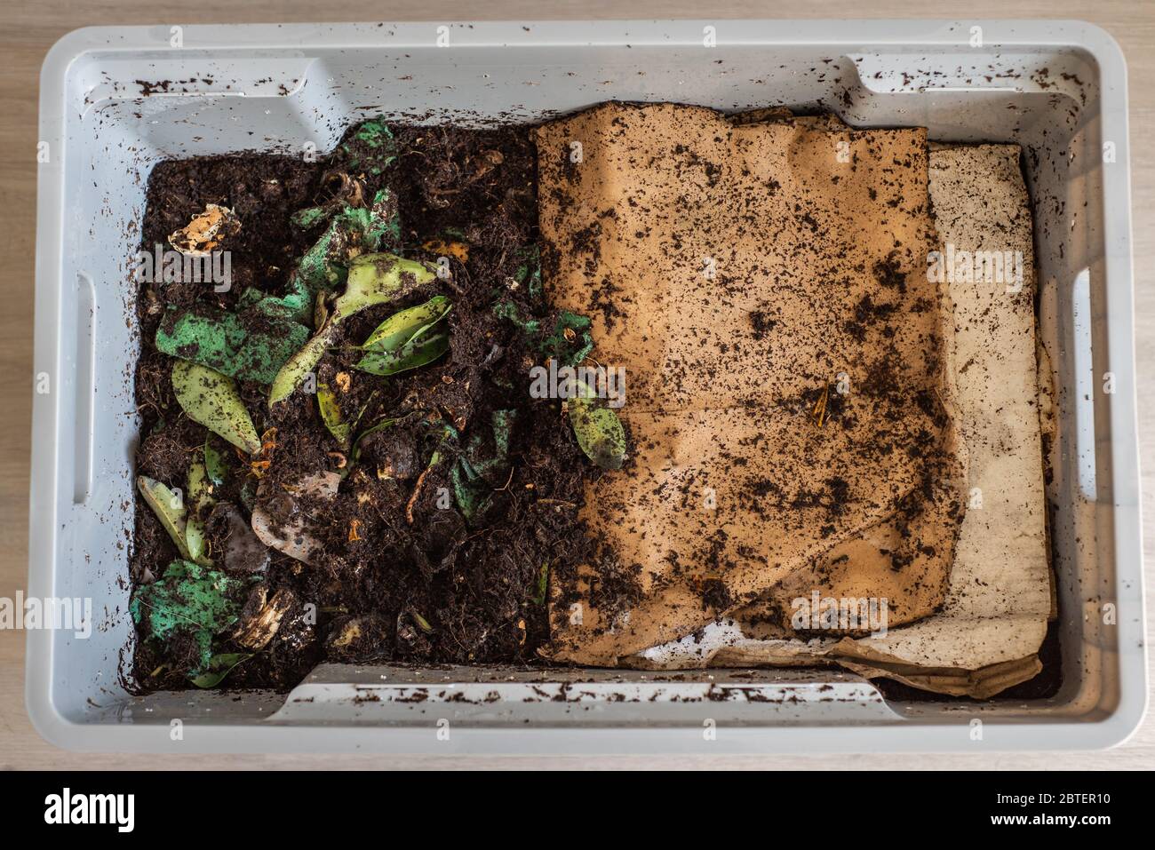 A DIY worm farm composting bin in an apartment Stock Photo - Alamy