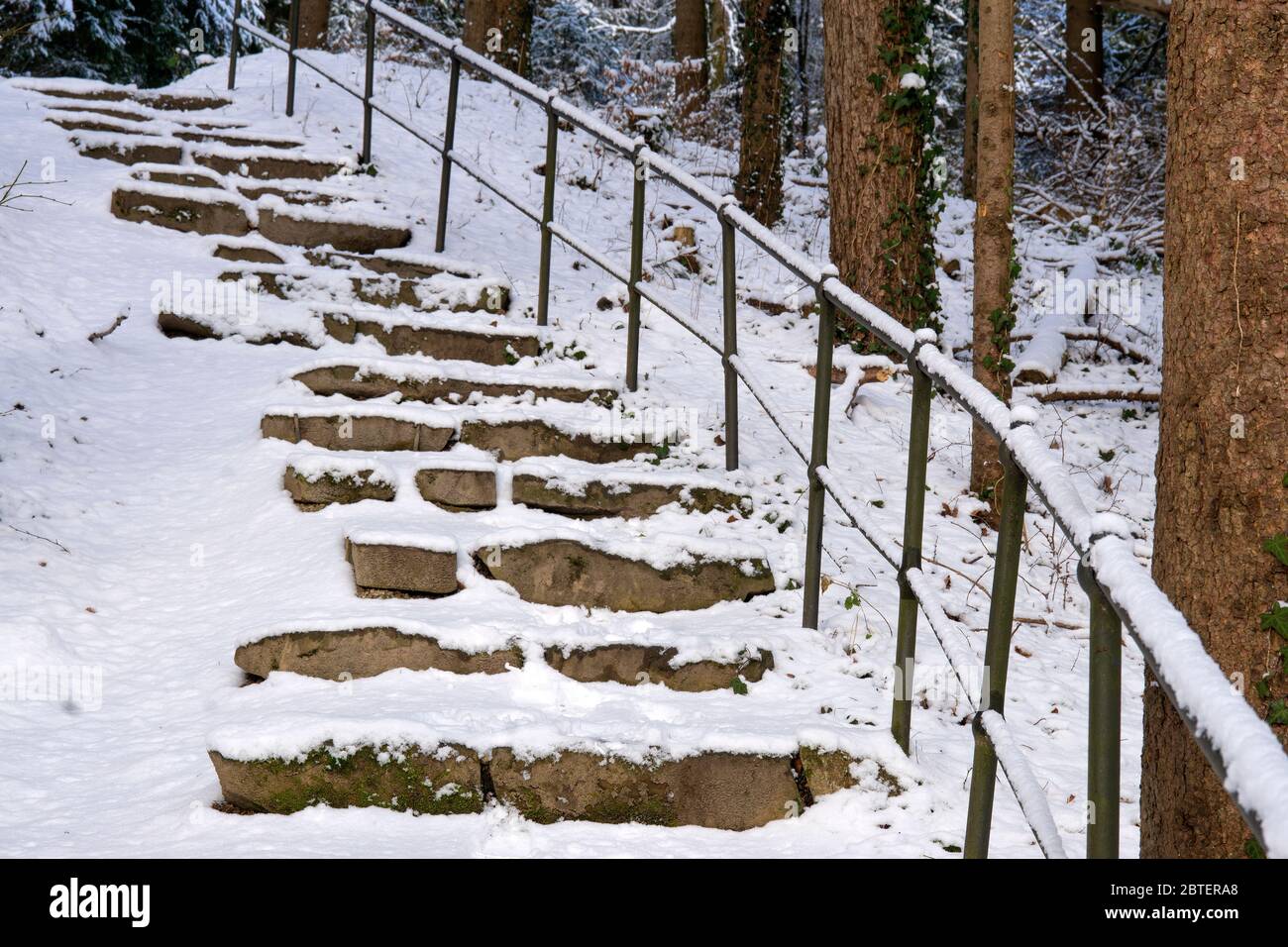 Wanderweg im winter hi-res stock photography and images - Alamy