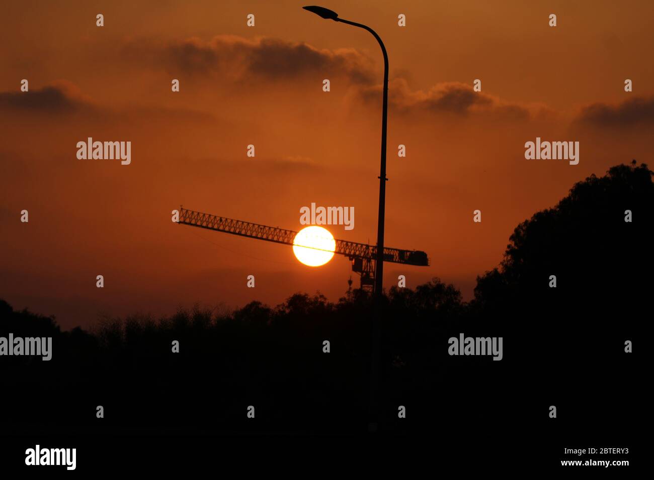 Birds eat and drink in the river Stock Photo Alamy