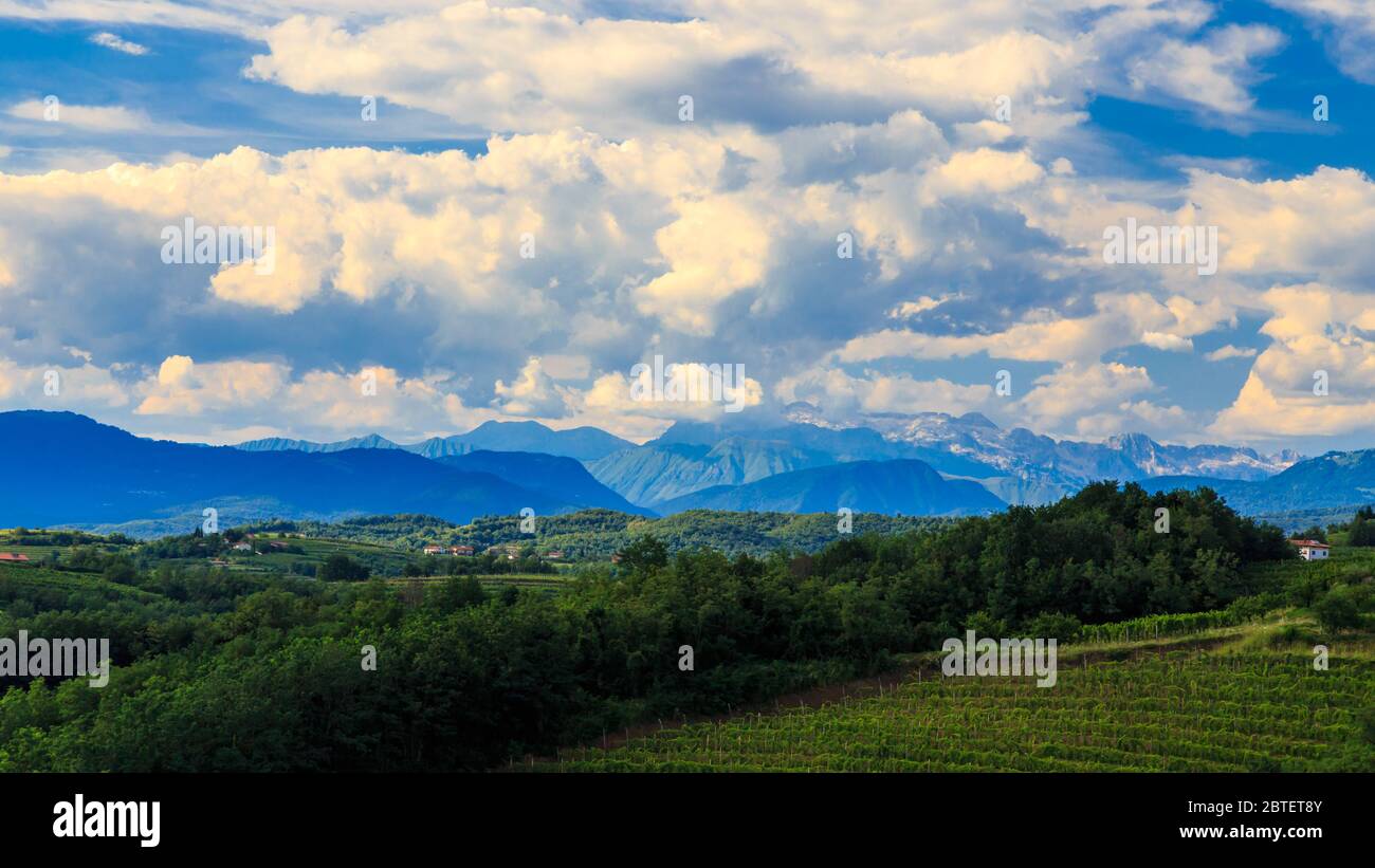 Slovenia italian border vineyard hi-res stock photography and images ...