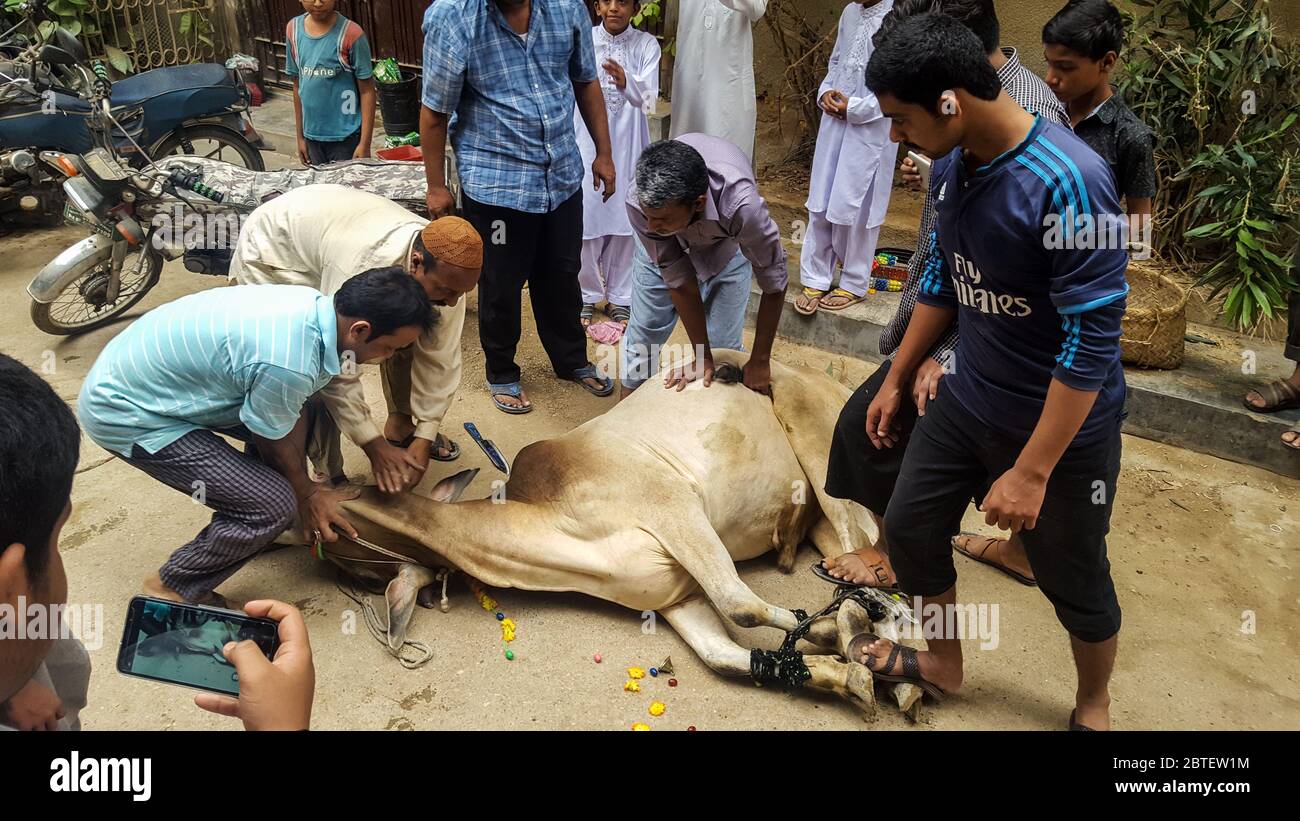 Muslim People Slaughtering Animals On Eid Ul Azha, On Streets Of Karachi, Pakistan, 22/08/2018 Stock Photo