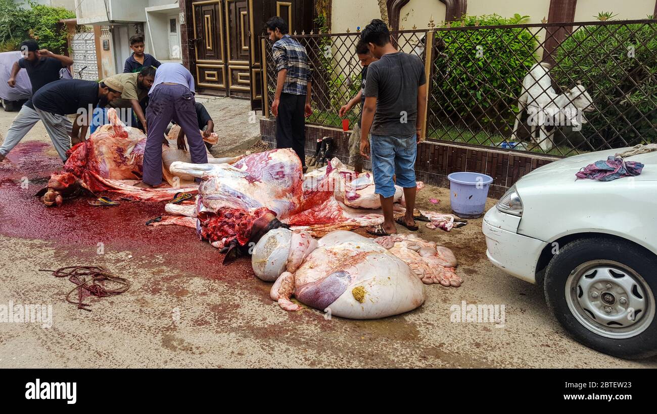 Muslim People Slaughtering Animals On Eid Ul Azha, On Streets Of Karachi, Pakistan, 22/08/2018 Stock Photo