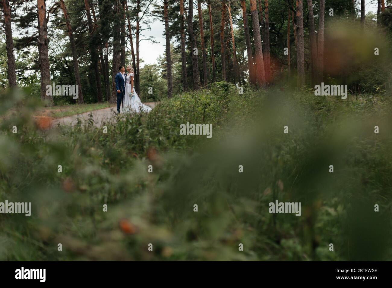 Bride and groom standing in the park and kissing Stock Photo - Alamy
