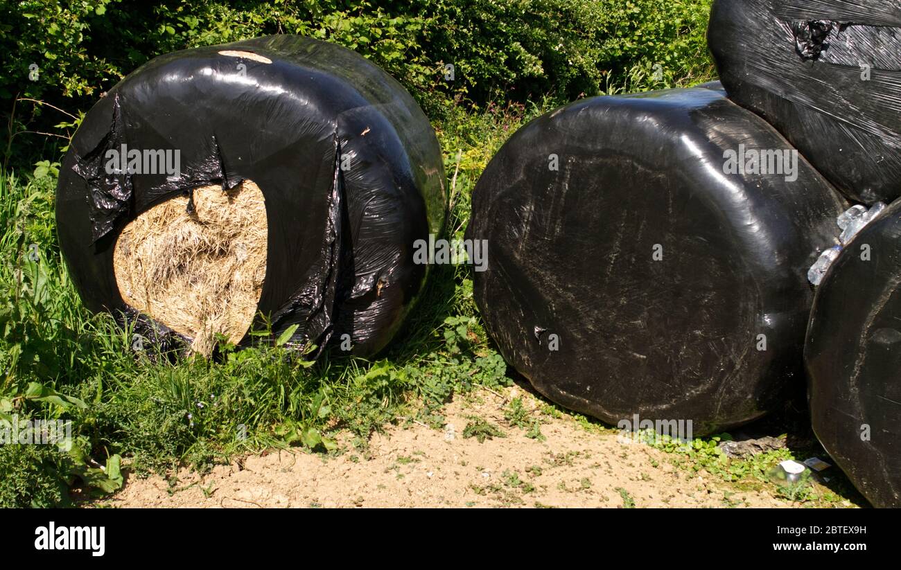 Black plastic wrapping for farm hay, textured black synthetic covering animal feed. Farmland Stock Photo