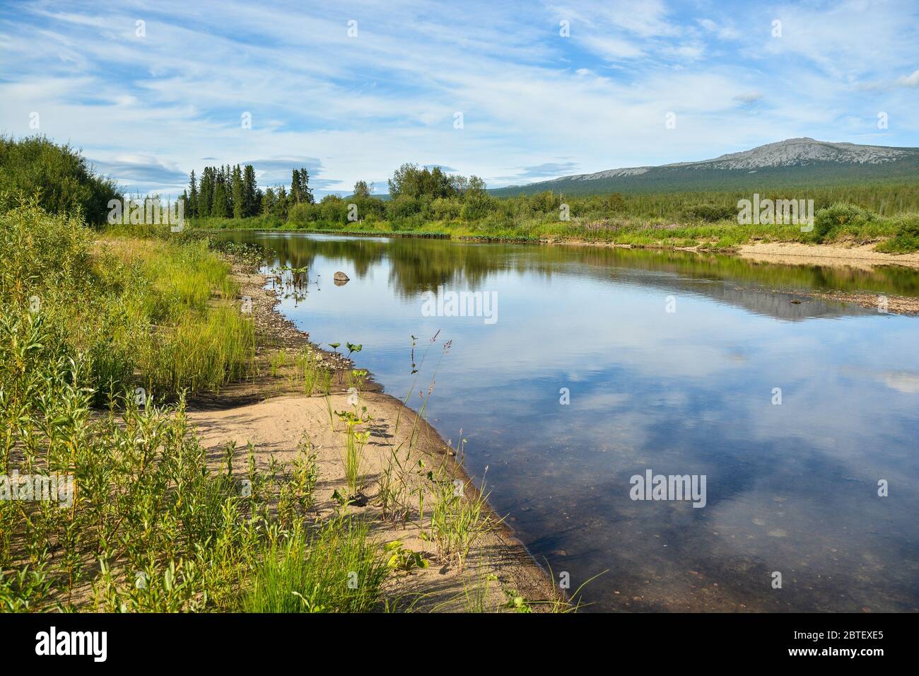 Forest and river. Summer landscape of the Northern taiga river. Stock Photo