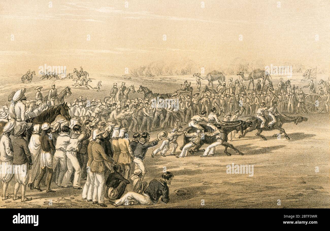 After the day's march towards the relief of Lucknow, the Naval Brigade organized buffalo races at the encampment near Onoa.  From Recollections of a Winter Campaign in India, 1857-58, published 1869. Stock Photo