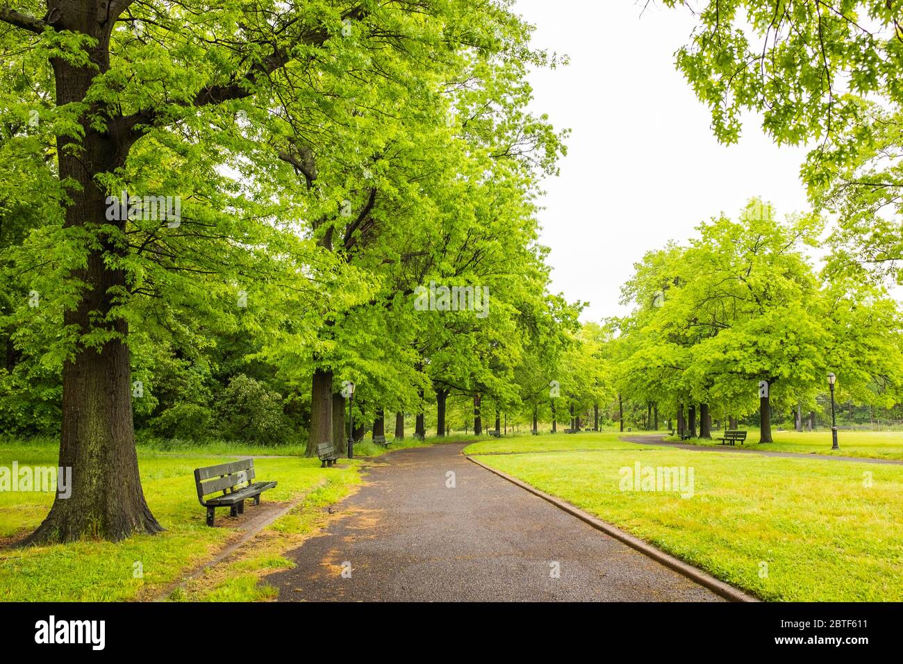 Empty park benches in the rain hi-res stock photography and images - Alamy