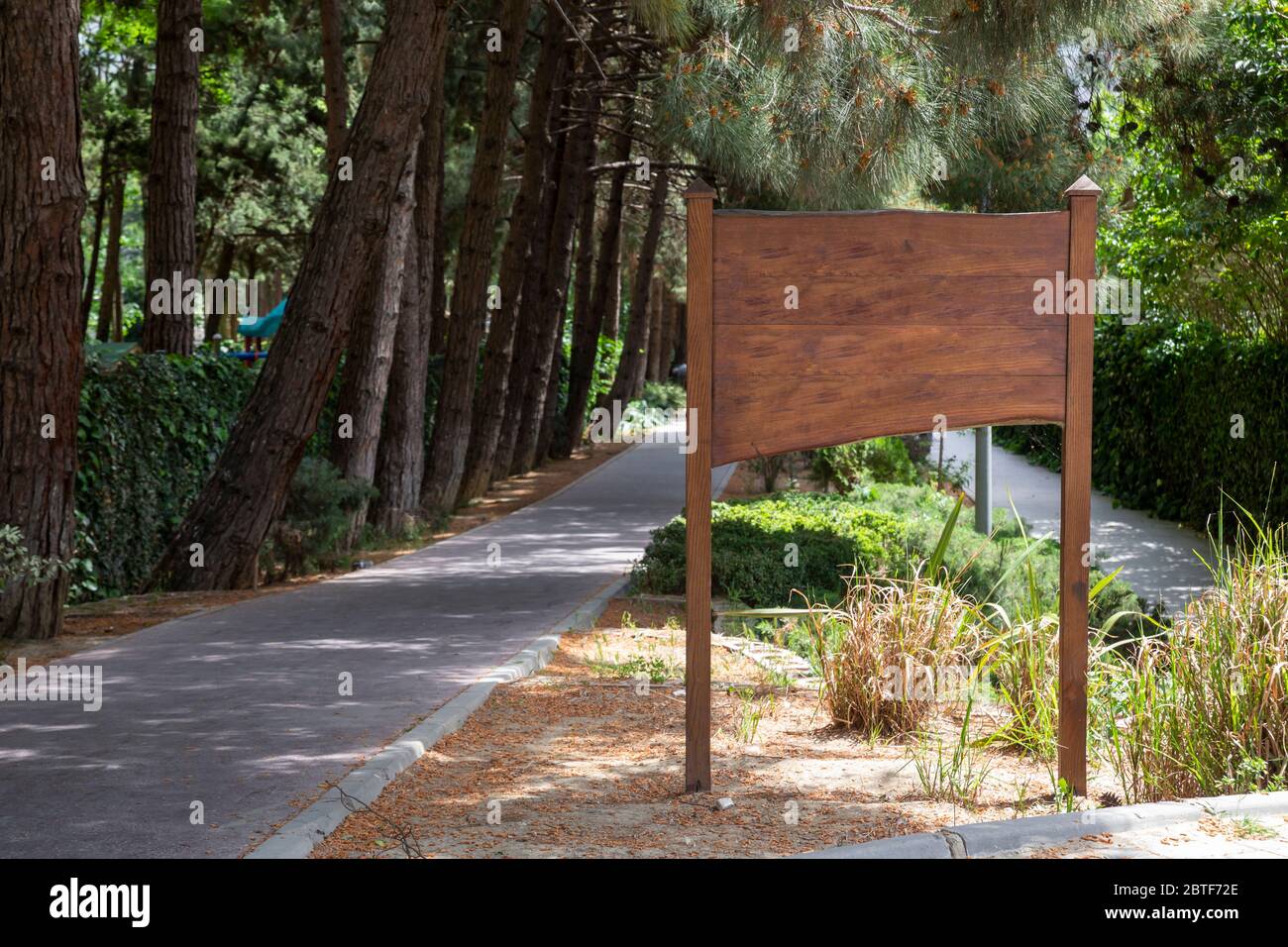 Green blank billboard big tree hi-res stock photography and images - Alamy