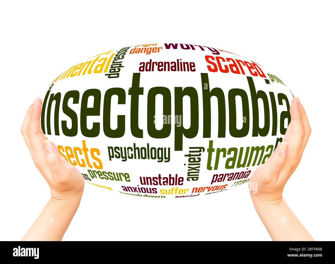 Insectophobia fear of insects word hand sphere cloud concept on white