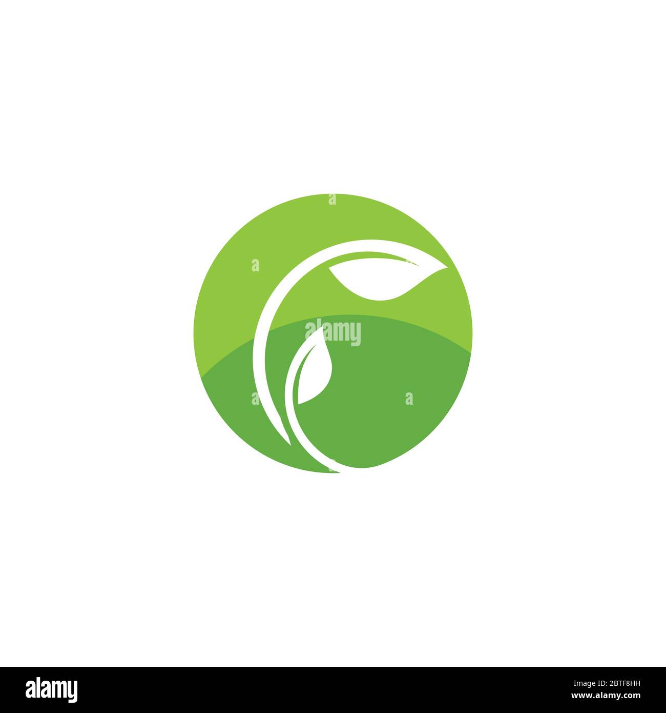 Leaf green nature logo vector Stock Vector Image & Art - Alamy