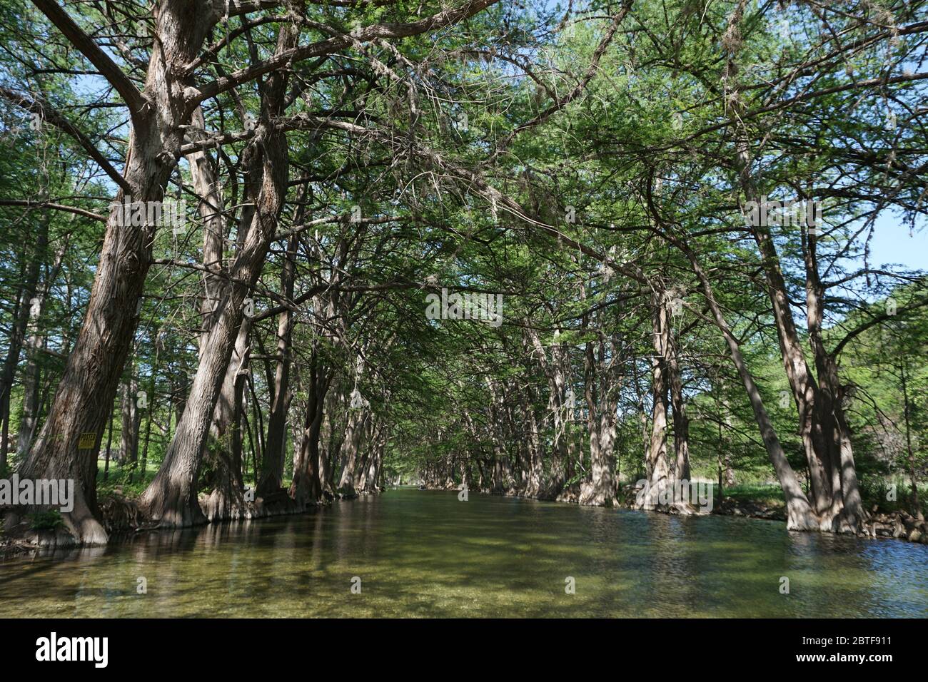 Frio river, Leakey, Texas Stock Photo Alamy