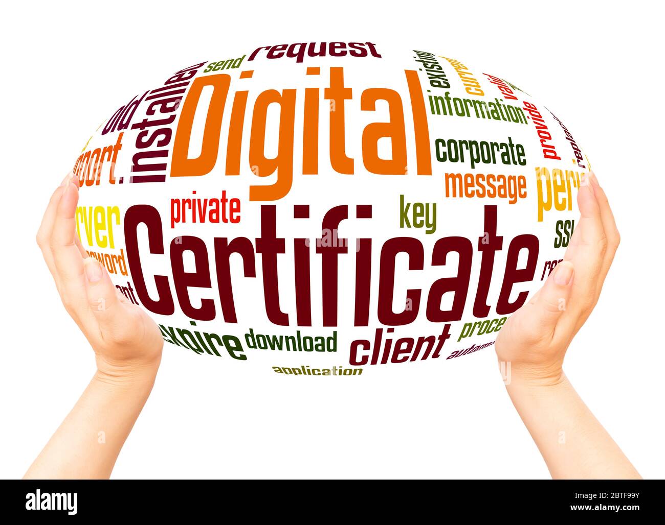 Digital certificate word hand sphere cloud concept on white background. Stock Photo