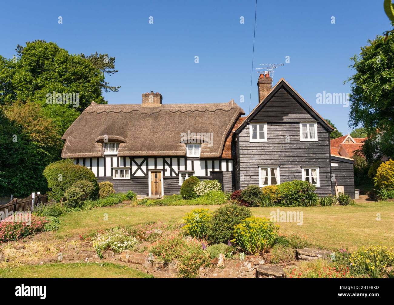 Country cottage with thatched roof and cottage garden in Malting Lane, Much Hadham, Hertfordshire. England UK Stock Photo