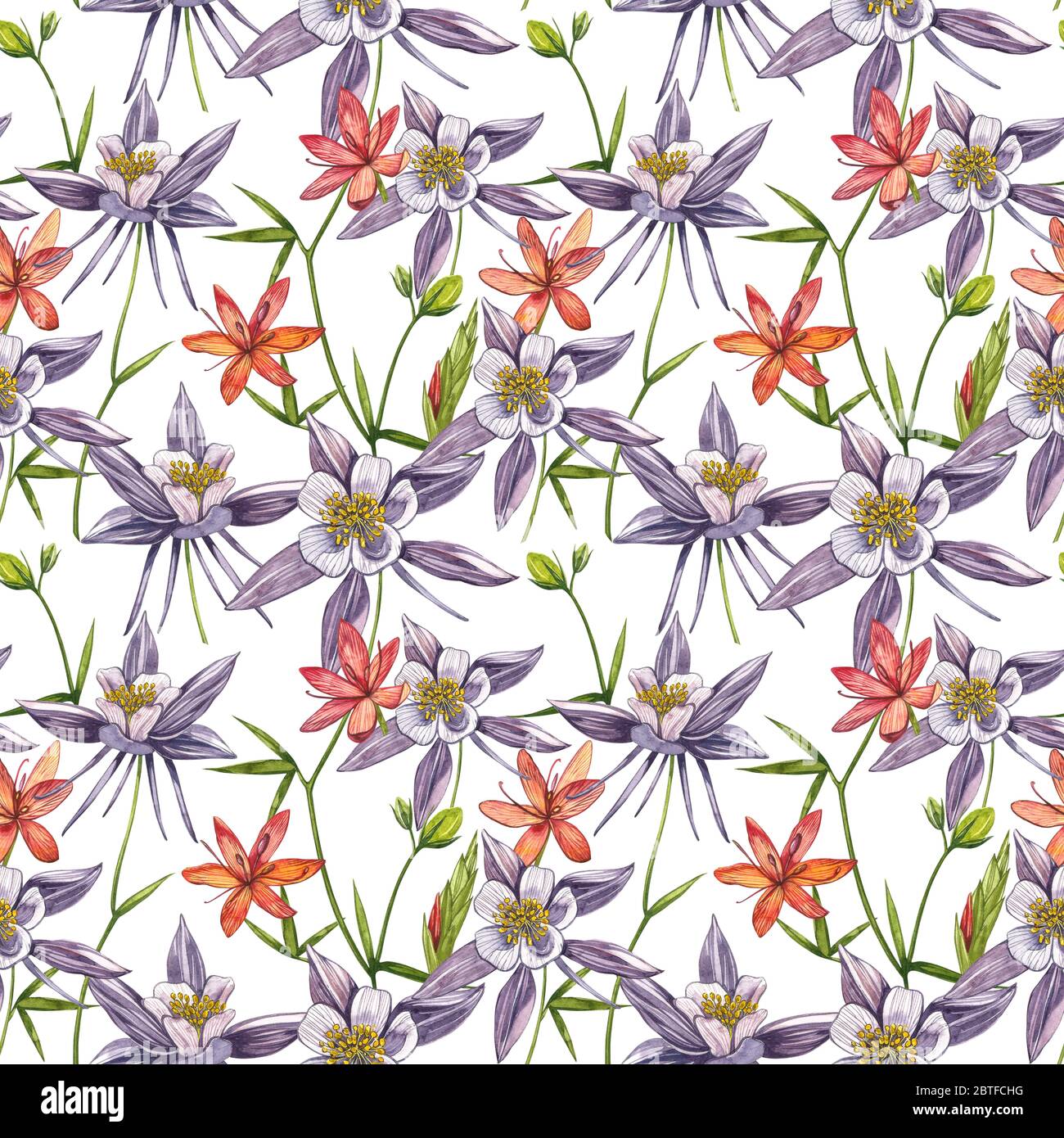 Double Columbine flowers. Seamless pattern. Collection of hand drawn flowers and plants. Watercolor set of flowers and leaves, hand drawn floral illus Stock Photo