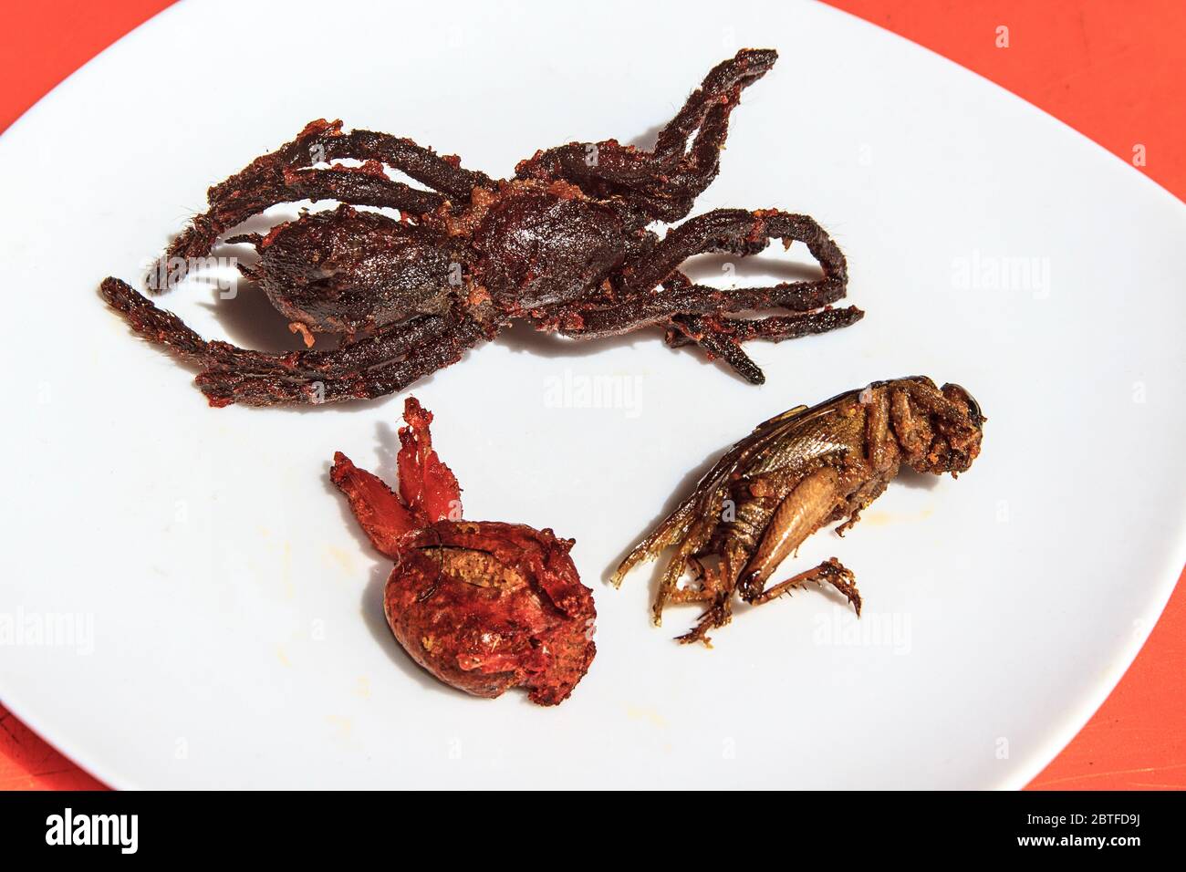 Breaded and deep fried tarantula along with a tiny frog and large grasshopper are displayed on a plate before being eaten. For sale at Skuon Stock Photo