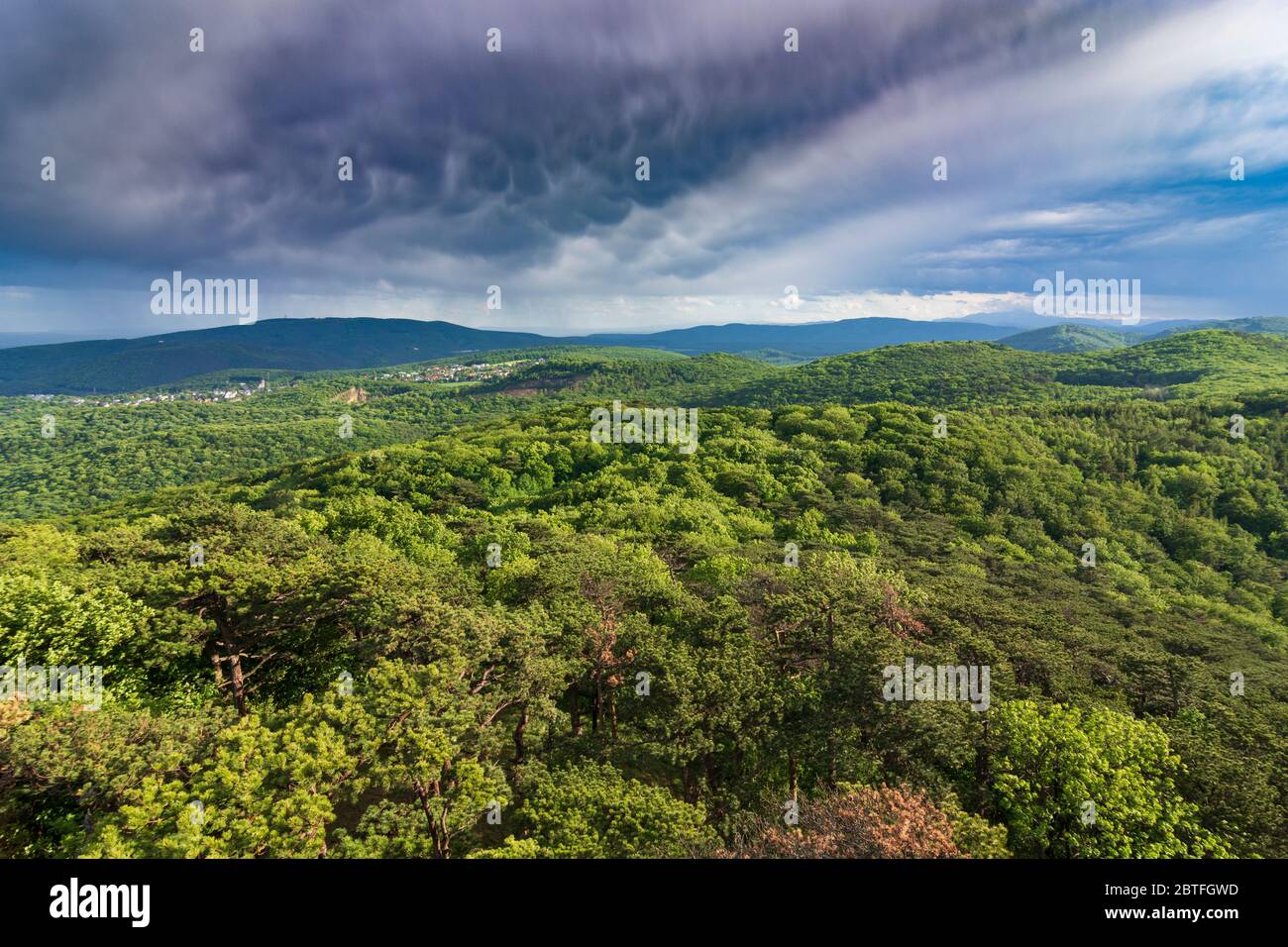 Perchtoldsdorf: view to mountain Anninger and town Hinterbrühl, from summit Hinterer Föhrenberg, in Wienerwald, Vienna Woods, Niederösterreich, Lower Stock Photo