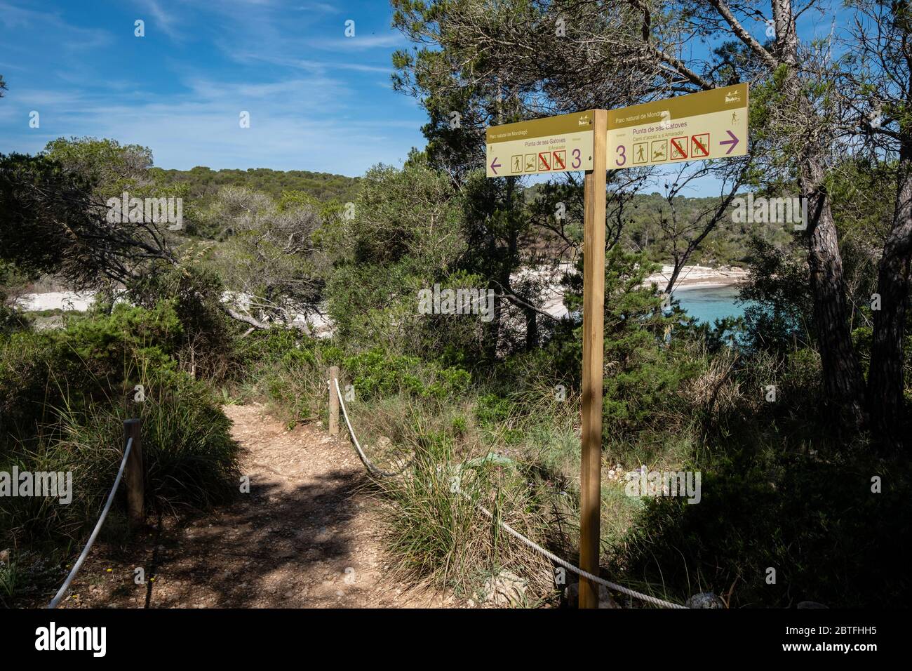 Punta De Ses Gatoves route, Mondragó Natural Park, Santanyí municipal area, Mallorca, Balearic Islands, Spain. Stock Photo