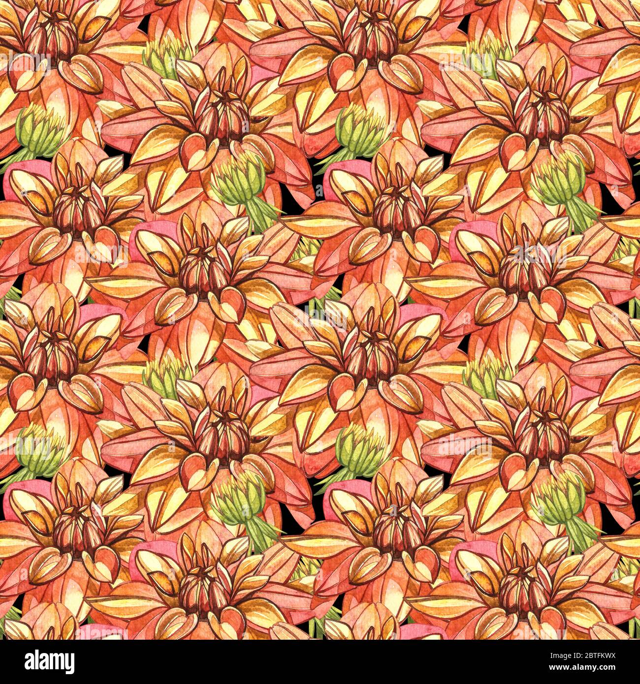 Watercolor orange dahlias. Seamless patterns. Wild flower set isolated on white. Botanical watercolor illustration, orange dahlias bouquet, rustic dah Stock Photo