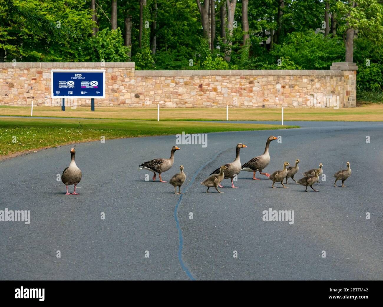 The Renaissance Club golf course entrance with Scottish Open sign