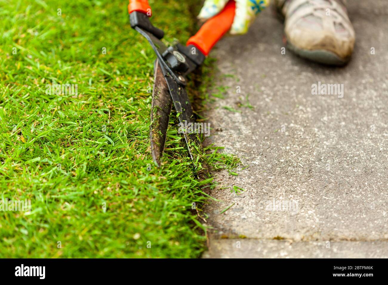 Tidying lawn edge with garden clippers. Selective focus Stock Photo