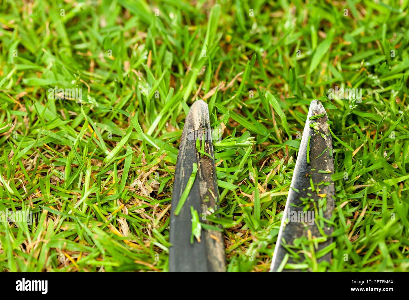Garden clippers or shears on grass Stock Photo