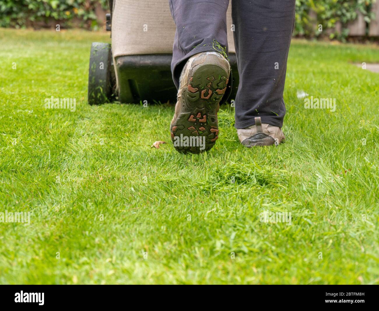 Mowing the lawn. Woman walking behind a lawn mower Stock Photo