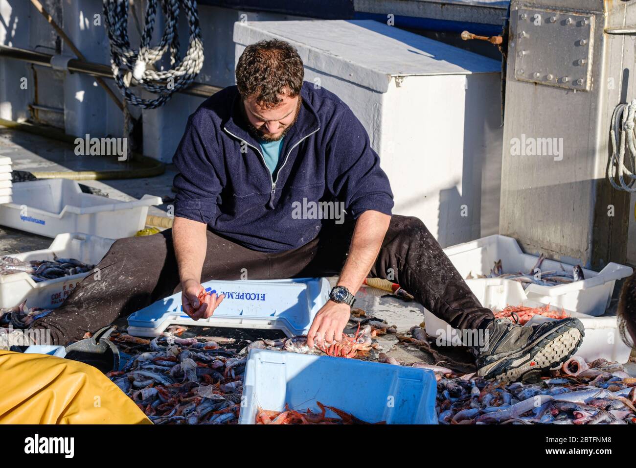 sailors selecting the fish, pesca de arrastre o pesca de bou, Andratx ...