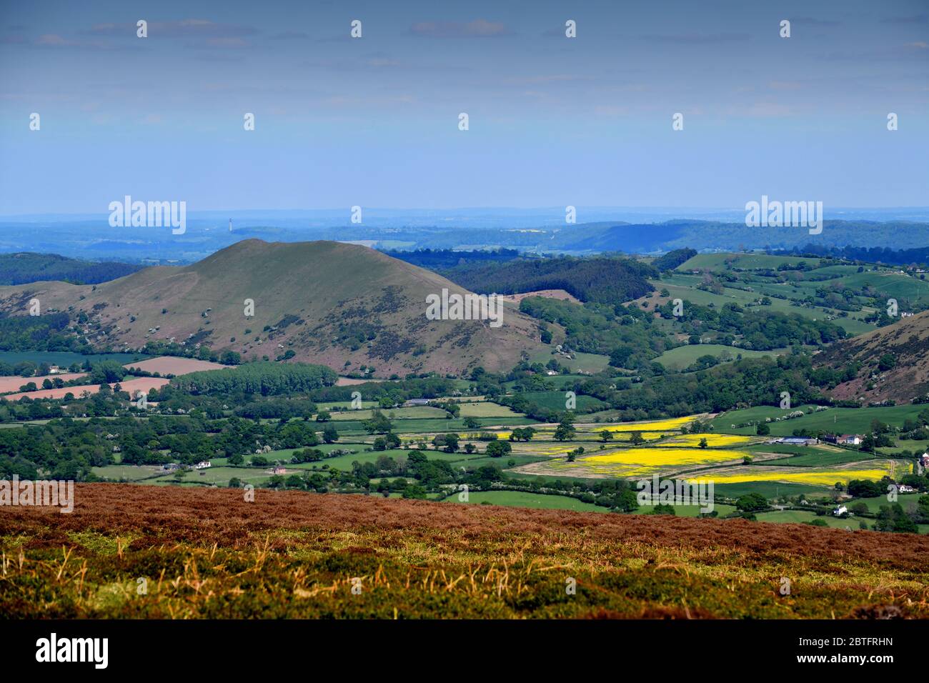 The Shropshire Hills With The Lawley Hill Pictured From The Long Mynd 