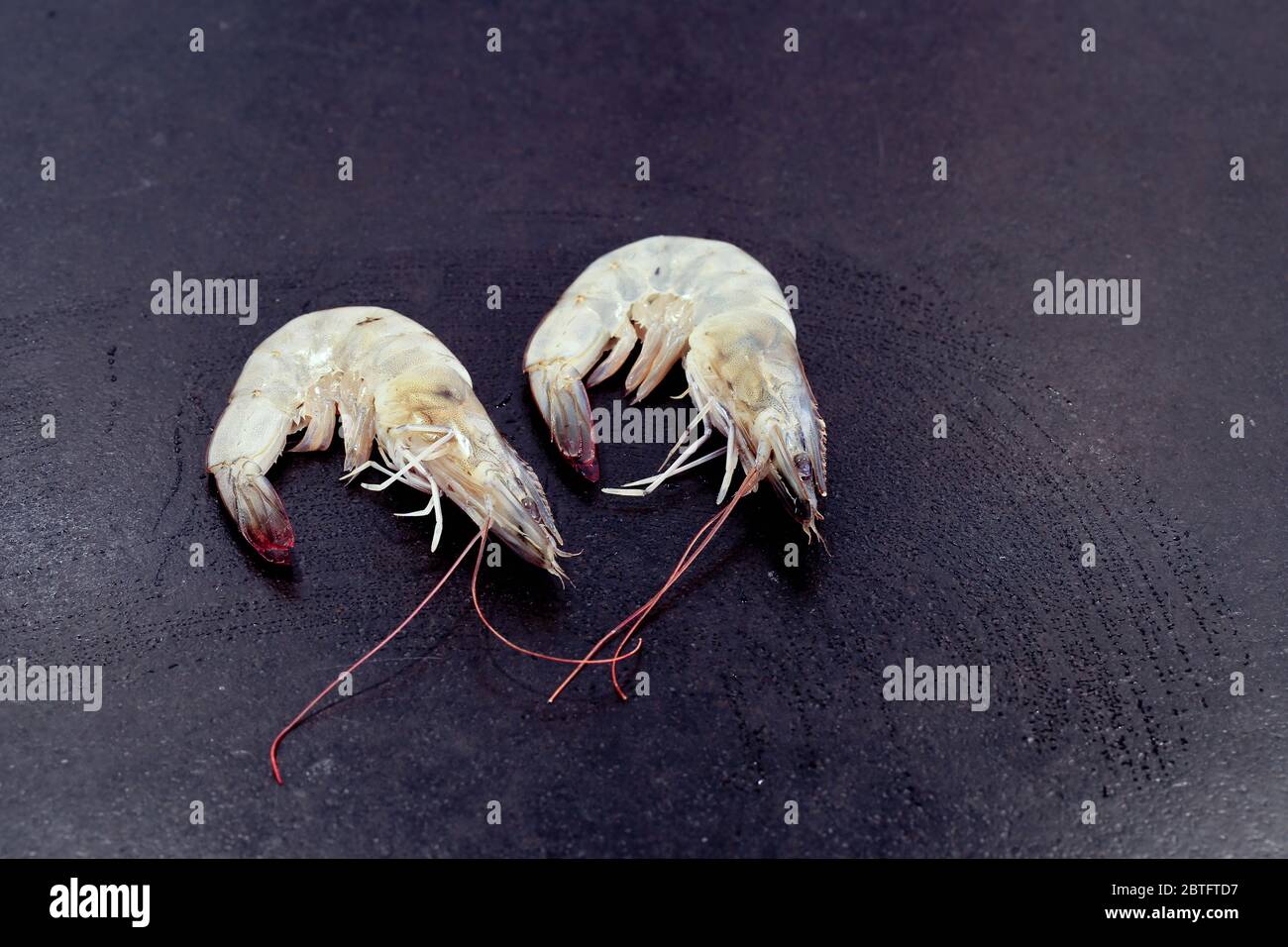 Garnelen, Shrimps Stock Photo