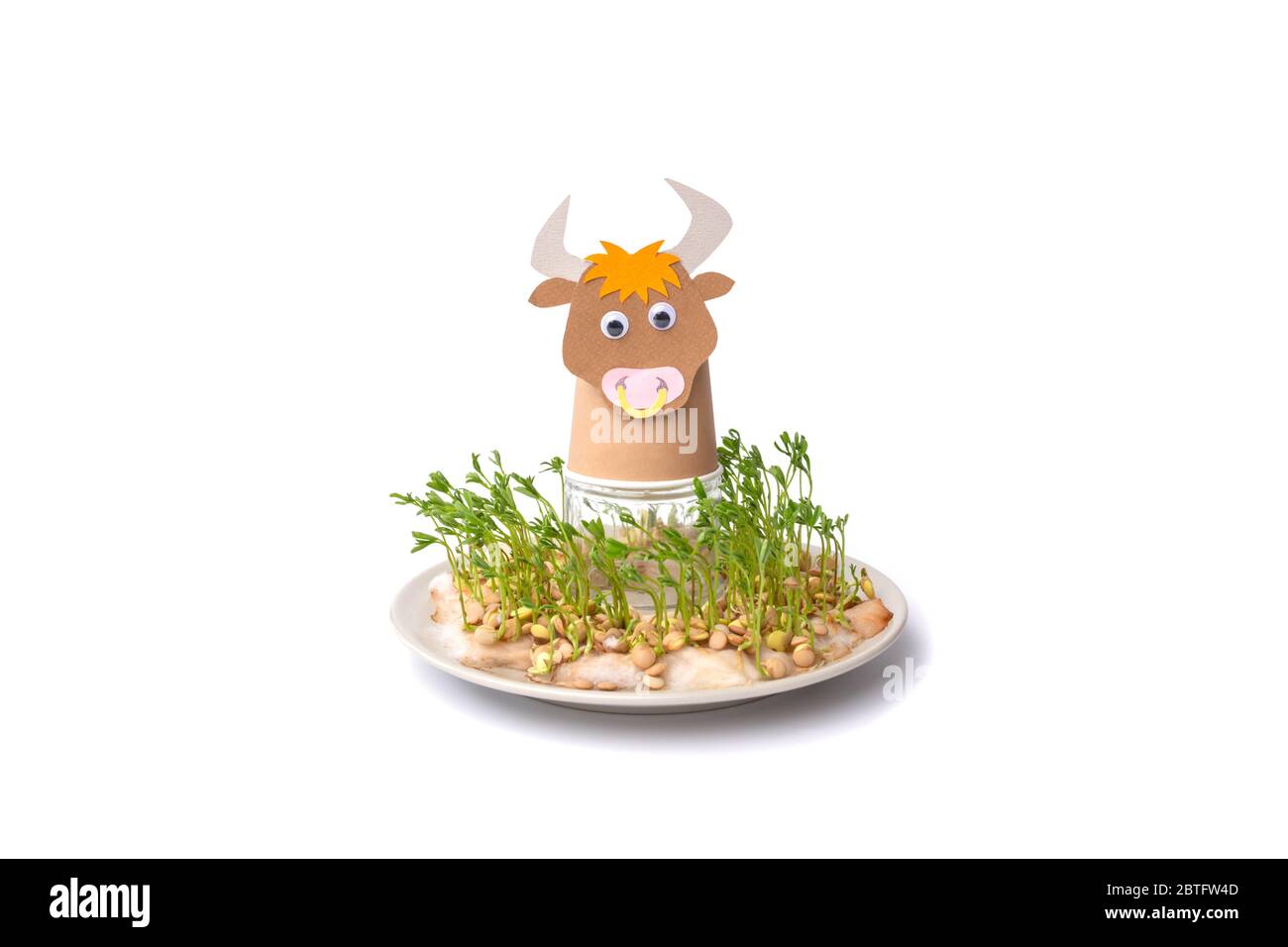 ox or bull paper cup craft concept for kid and kindergarten, year of ...