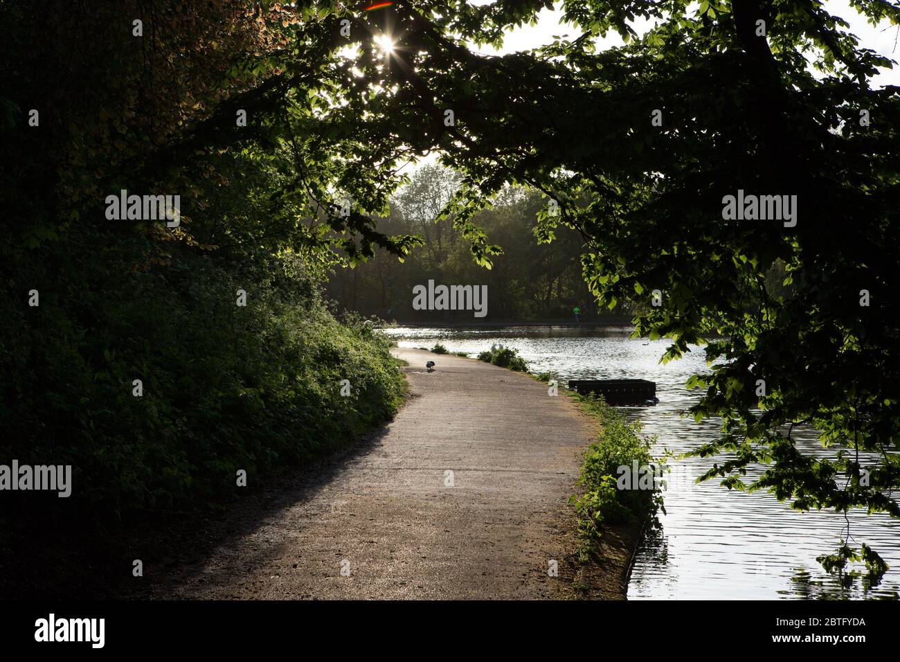 A path leading under a tree, around a lake in Bristol Stock Photo