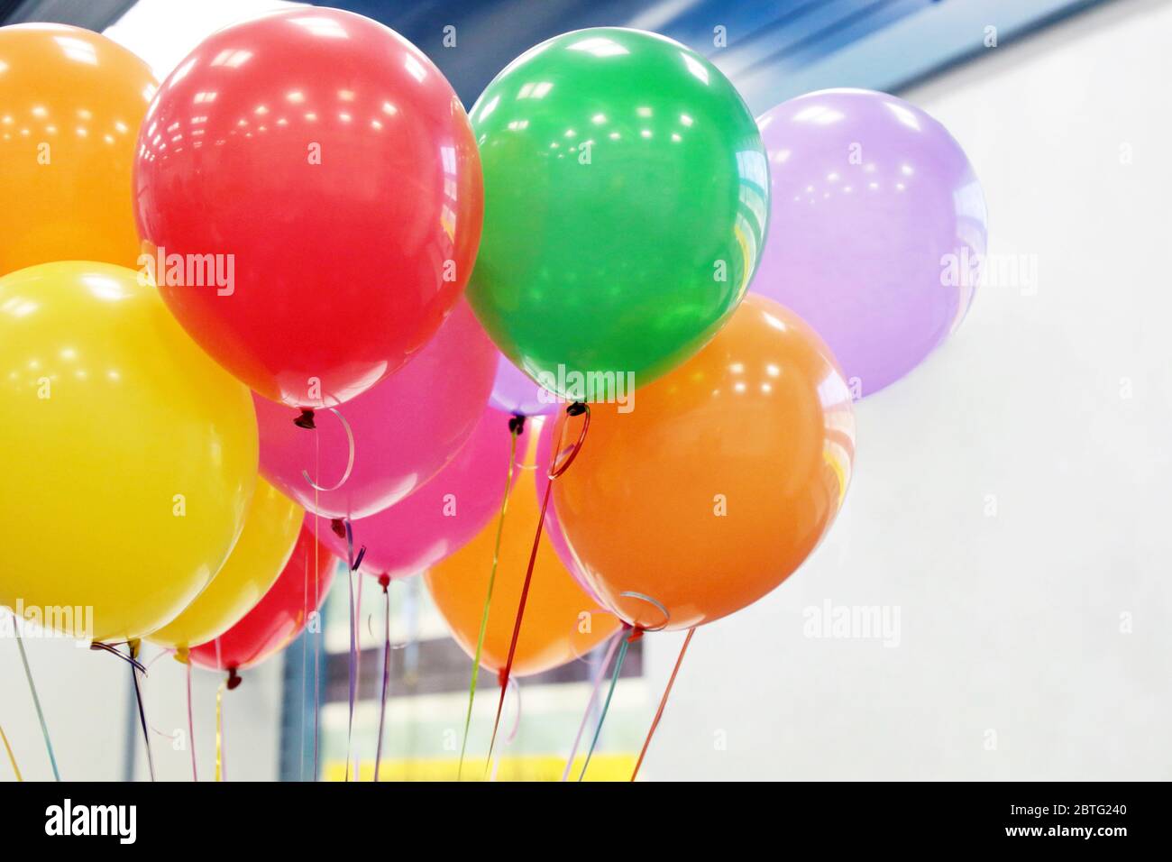 Helium balloons with ribbons in the office. Colorful festive background for birthday celebration, corporate party, anniversary, children's holiday Stock Photo