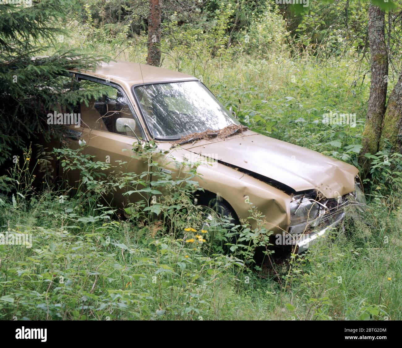 Car in a field hi-res stock photography and images - Alamy
