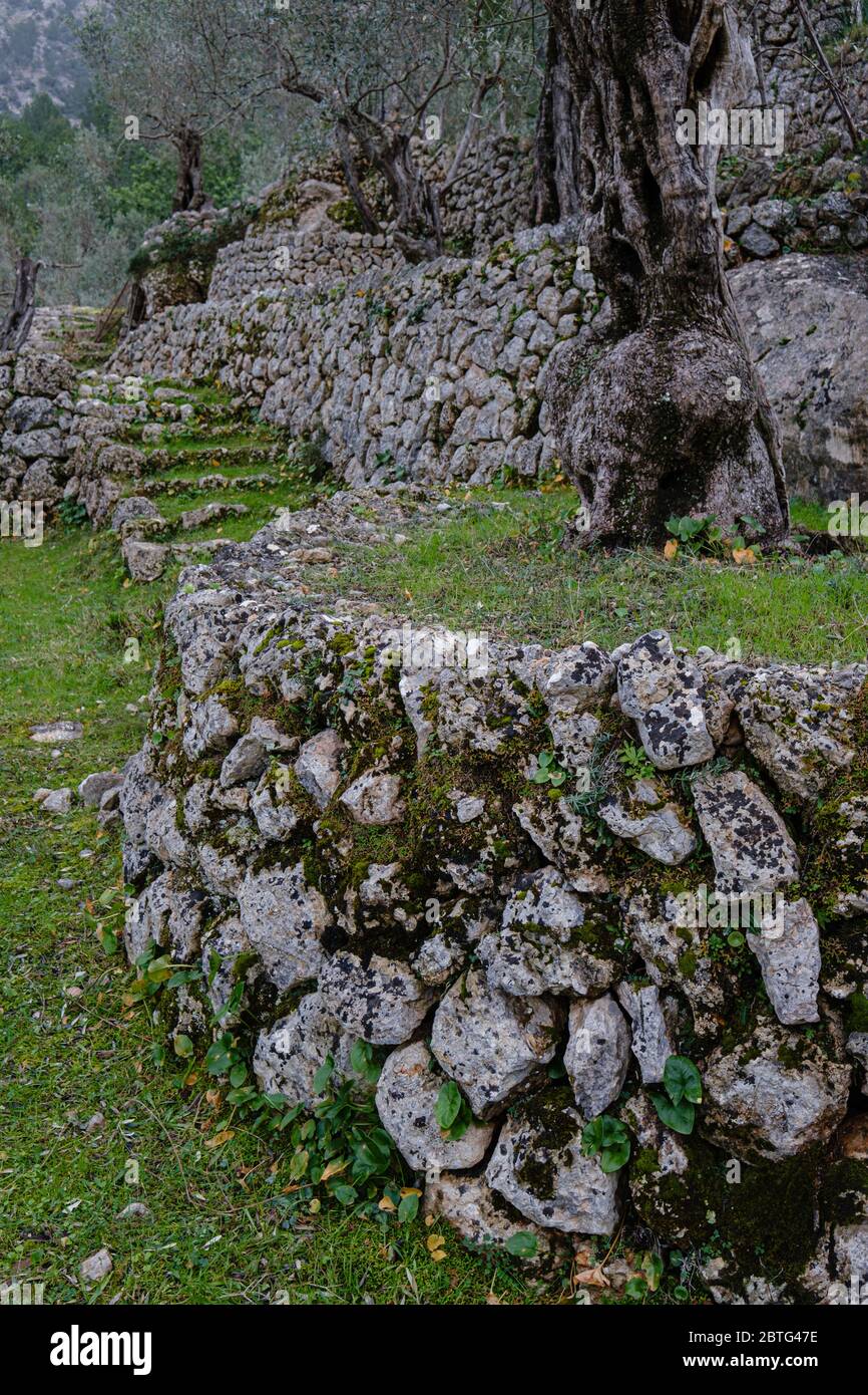 Bancales de piedra hi-res stock photography and images - Alamy