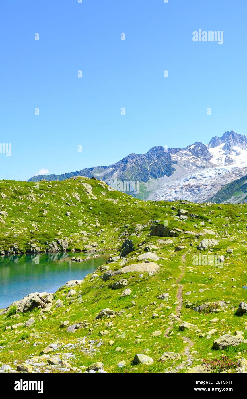 Alpine Lac de Cheserys, Lake Cheserys near Chamonix-Mont-Blanc in French Alps. Glacier lake with high mountains in the background. Tour du Mont Blanc trail. Green Alpine landscape. Vertical photo. Stock Photo