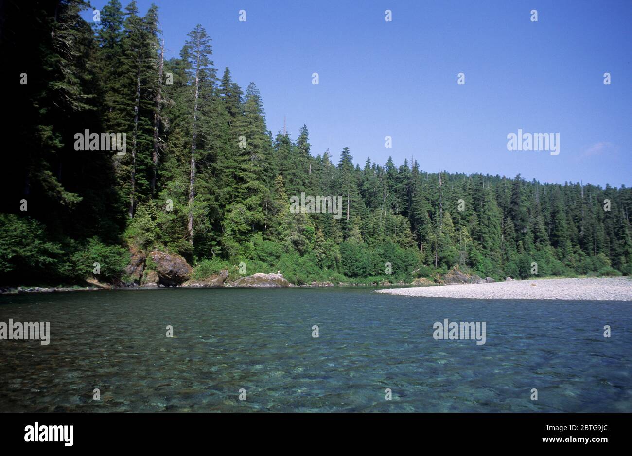 Smith River, Jedediah Smith Redwoods State Park, Redwoods National Park, California Stock Photo