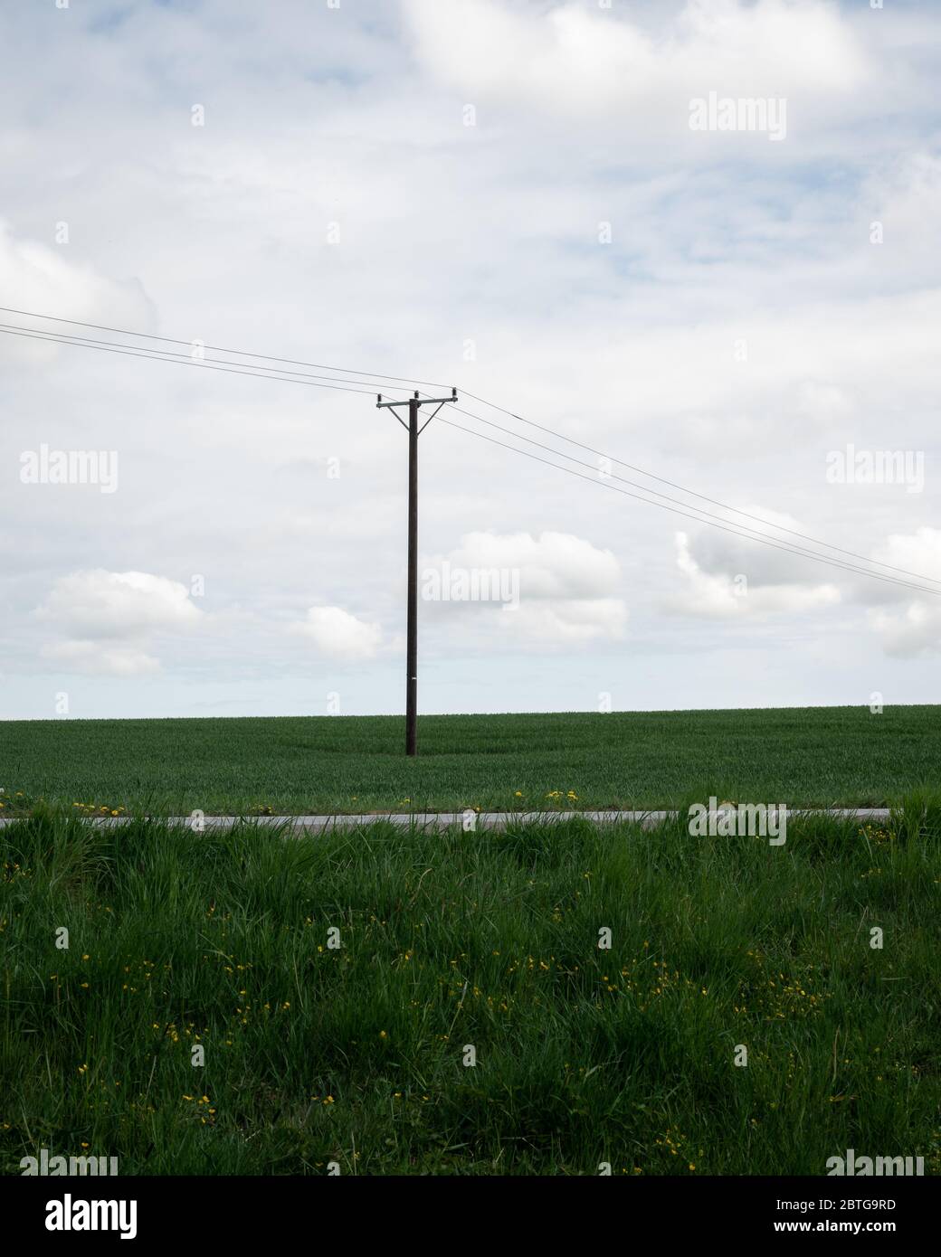 A single power line pole stands tall above the green fields in the southern Sweden landscape called Skåne Stock Photo