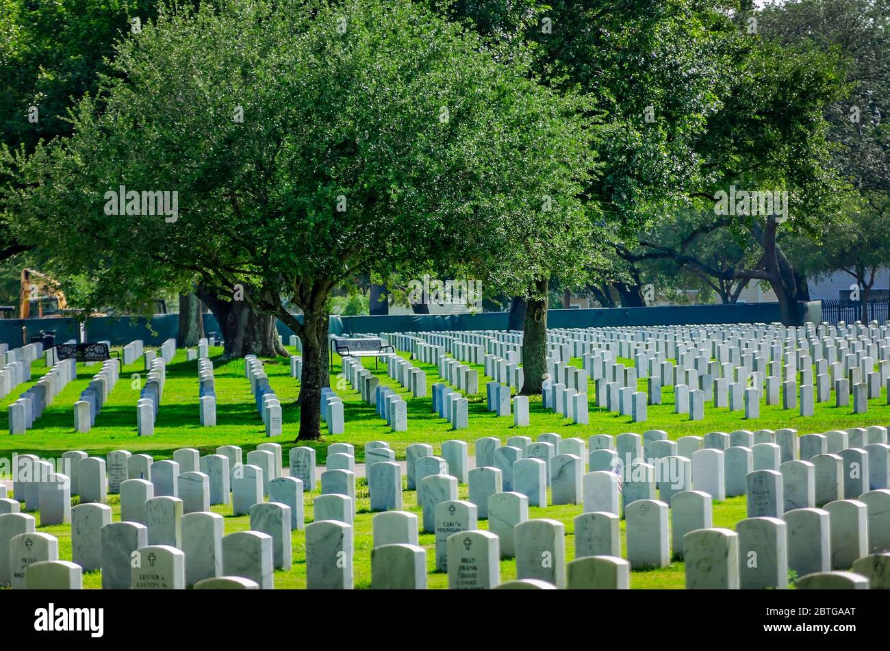 Veterans’ graves are unadorned for Memorial Day in Biloxi National Cemetery, May 23, 2020, in Biloxi, Mississippi. Stock Photo