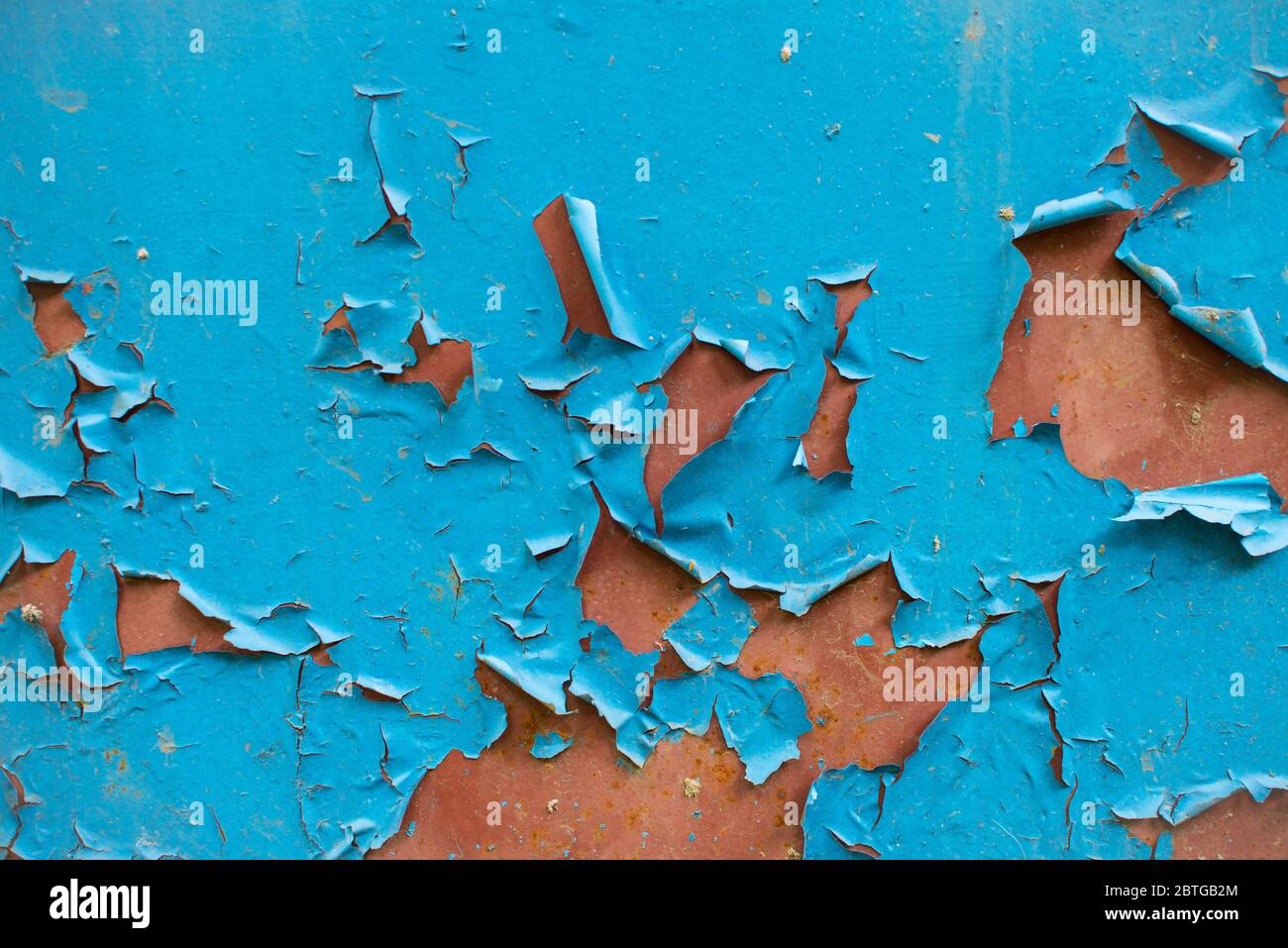 Peeling blue paint on rusty metal wall. Close up pattern of rustic ...