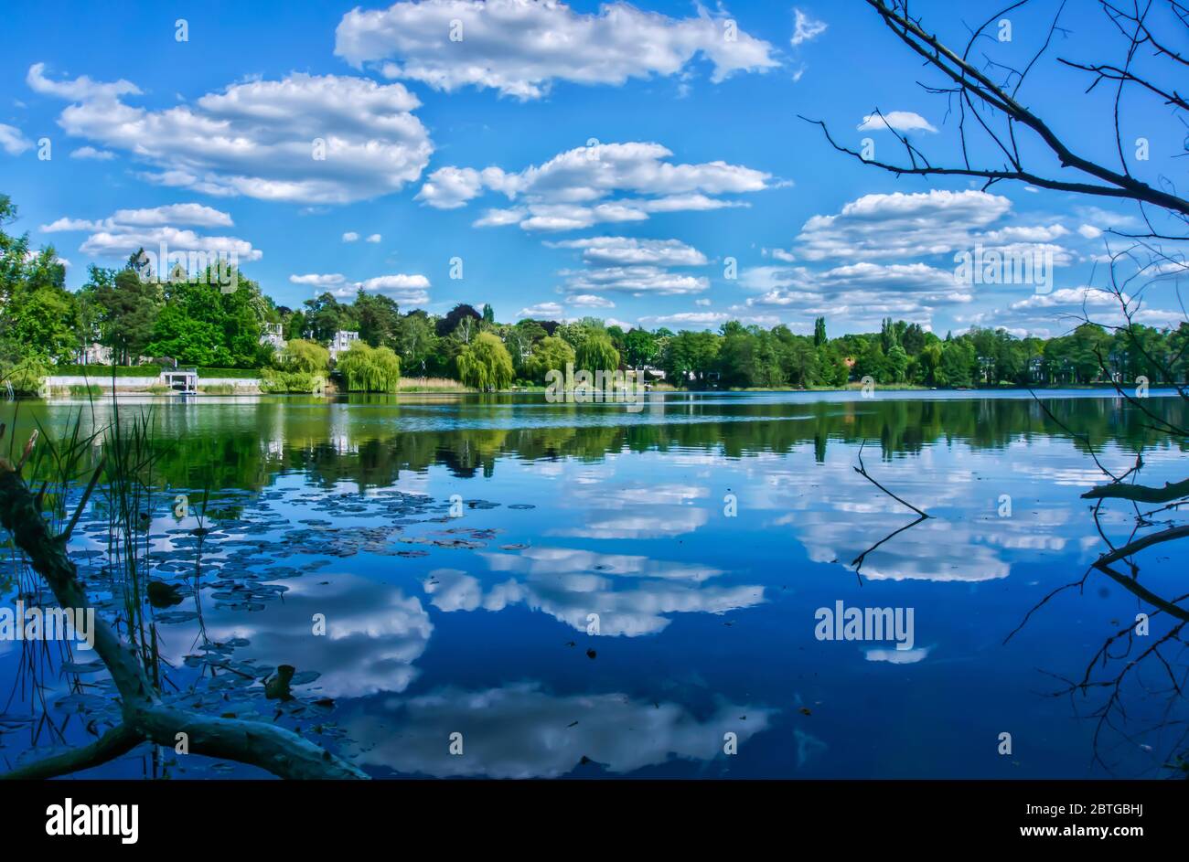 Nice view to the Hundekehlesee in Berlin-Grunewald. The clouds of the  summer sky are reflected in the water of the lake Stock Photo - Alamy