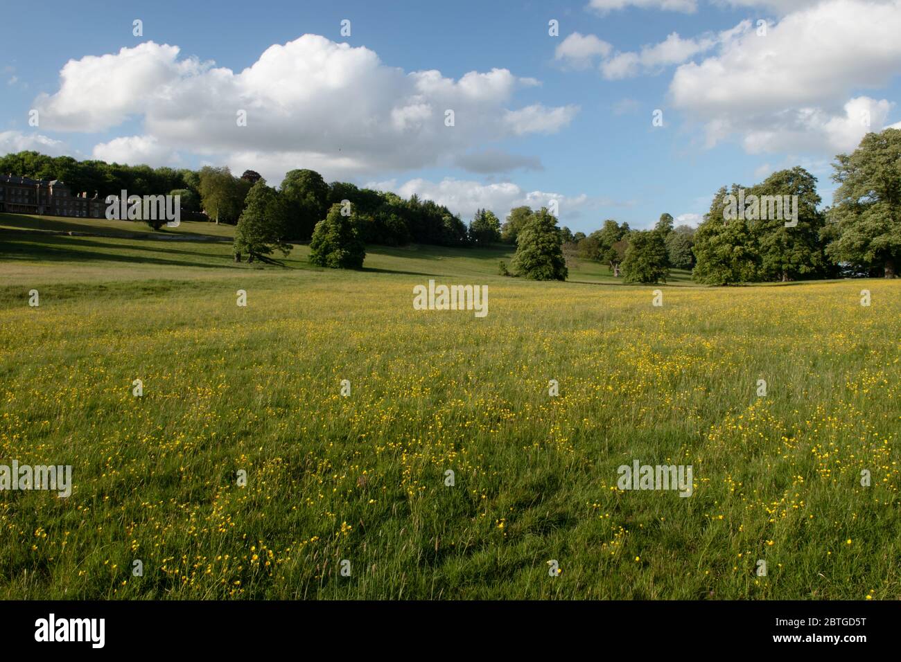Marston park somerset hires stock photography and images Alamy