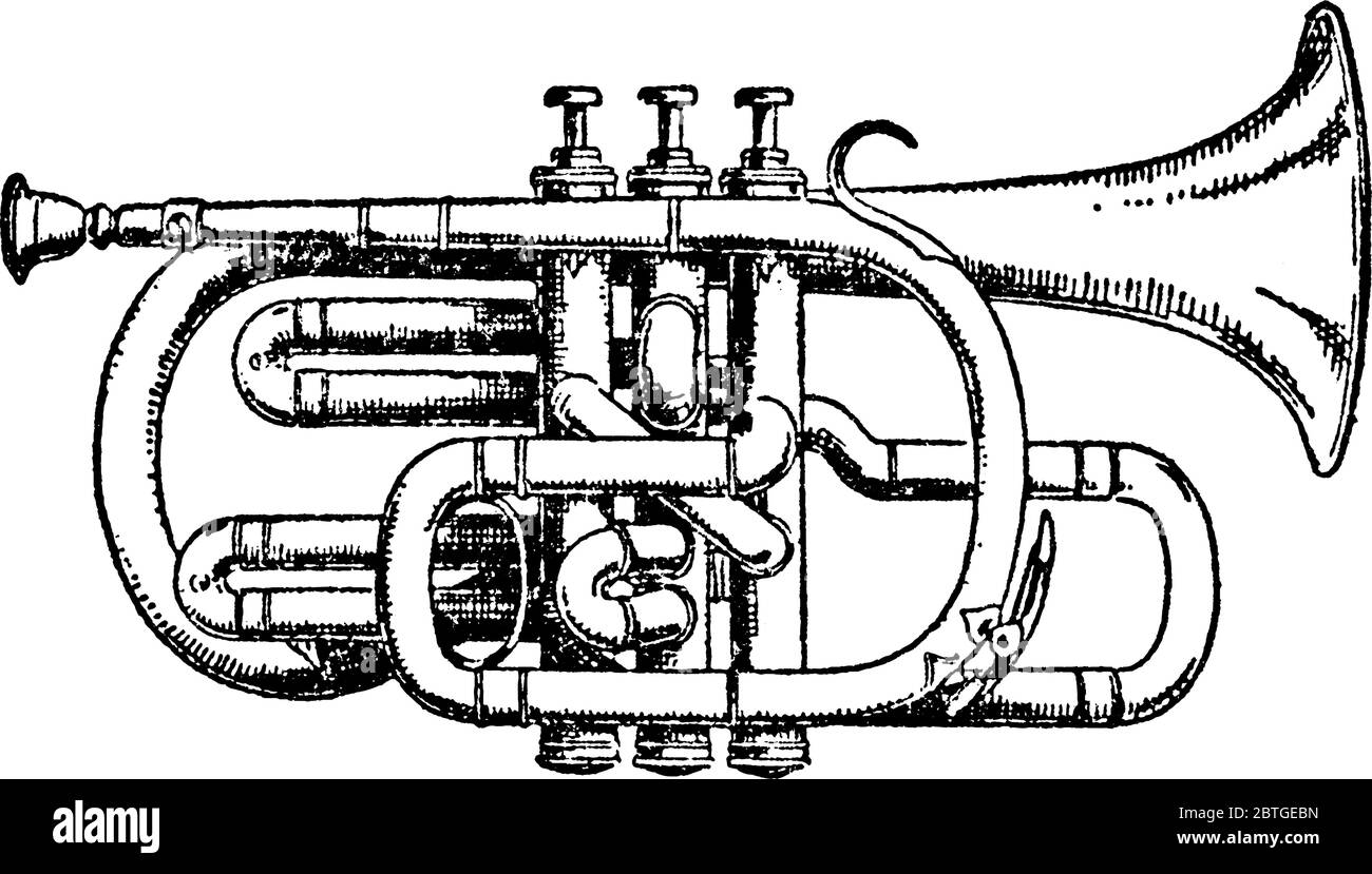 The cornet, a brass instrument very similar to the trumpet, distinguished by its conical bore, compact shape, and mellower tone quality, vintage line Stock Vector