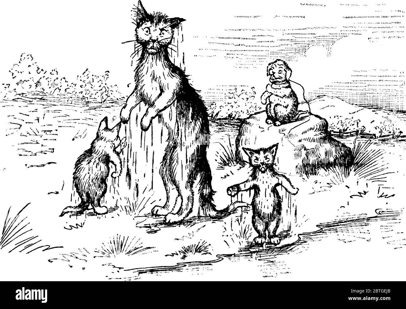 A typical representation of three cats getting wet in rain and playing, vintage line drawing or engraving illustration Stock Vector
