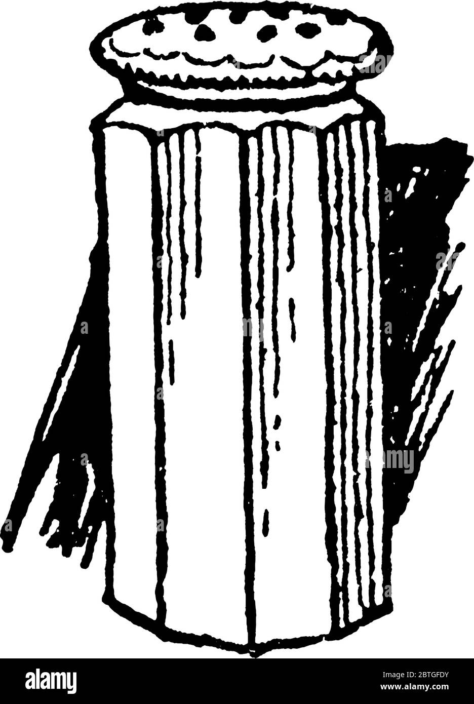 Figure showing a dining table salt storage, vintage line drawing or