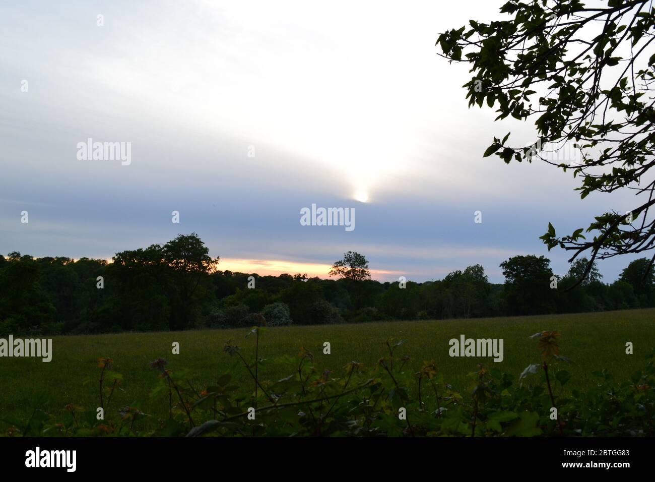 Late May in north west Kent, England. Fields at Charles Darwin's village, Downe, at dusk. Sunset, thin cloud, peaceful, tranquil country scene Stock Photo